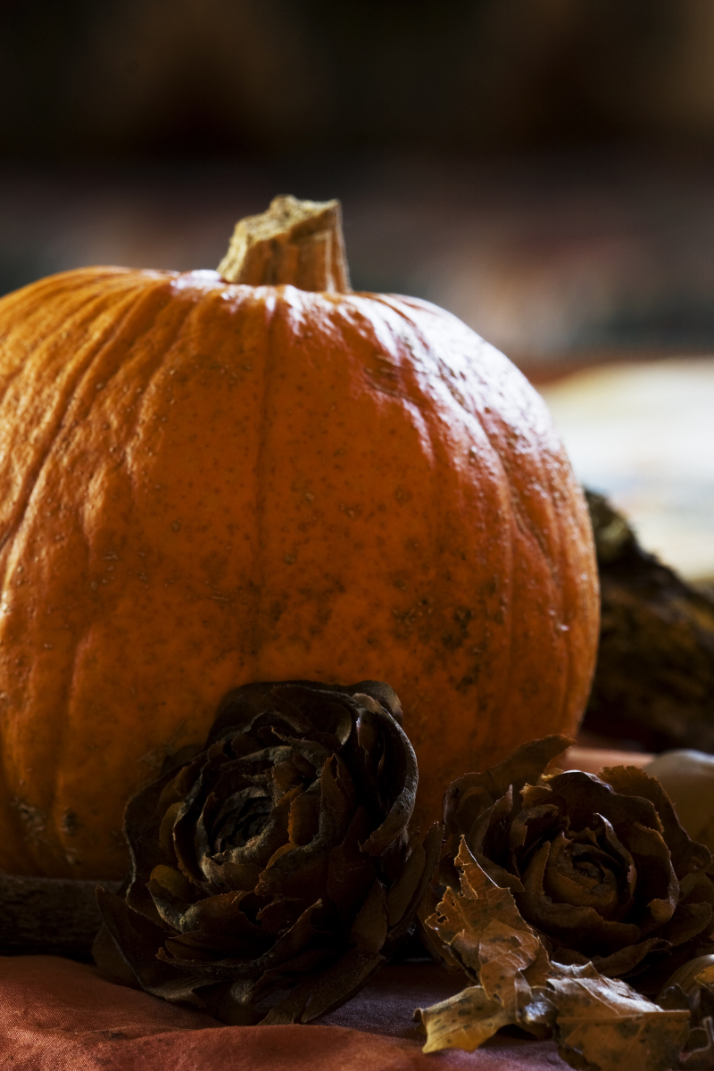 Fall-is-coming-4Sep2009