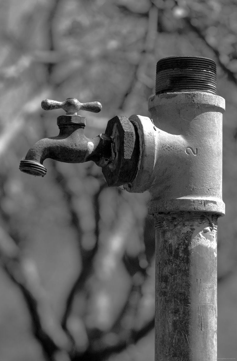 Water-for-the-Fields-8Aug2009